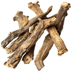 dead tree trunk PNG isolated on transparent background