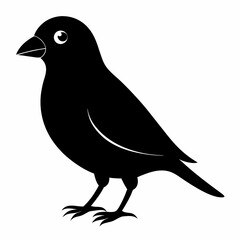 Modern Canary Silhouette Vector Art