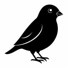 Modern Canary Silhouette Vector Art