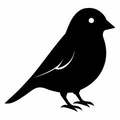 Modern Canary Silhouette Vector Art