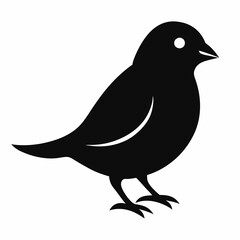 Modern Canary Silhouette Vector Art