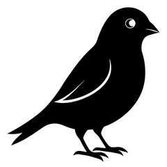 Modern Canary Silhouette Vector Art