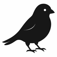 Modern Canary Silhouette Vector Art