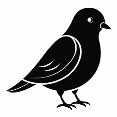 Modern Canary Silhouette Vector Art