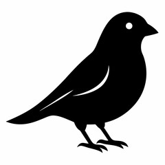 Modern Canary Silhouette Vector Art