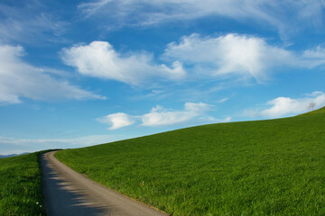 Windows Hintergrundbild mit Weideland, Himmel mit flauschigen Wolken und einem Weg der zum Horizont f&uuml;hrt.