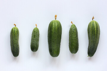 Five fresh cucumbers arranged on white background representing growth stages