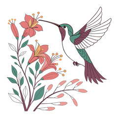 Natural beauty Humming Bird. © ROMY