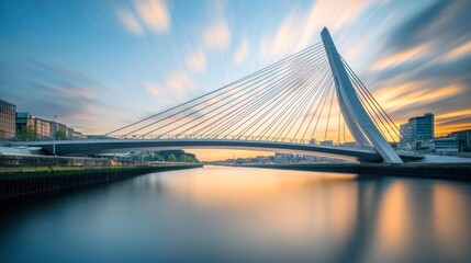Fototapeta premium Modern cablestayed bridge over tranquil water