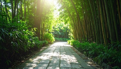 A peaceful bamboo forest pathway with sunlight filtering through the dense green canopy, casting soft shadows on the stone-paved trail.