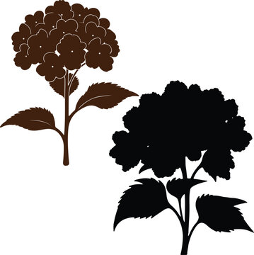 brown hydrangea silhouette on white background clip art preview