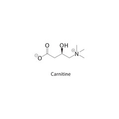 Carnitine skeletal structure. Quaternary ammonium compound compound schematic illustration. Simple diagram, chemical formula.