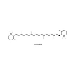 Naklejka premium α-Carotene skeletal structure. Carotenoid compound schematic illustration. Simple diagram, chemical formula.