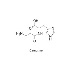 Carnosine skeletal structure. Dipeptide compound schematic illustration. Simple diagram, chemical formula.