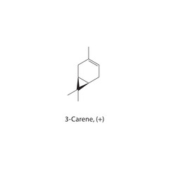 3-Carene, (+) skeletal structure. Monoterpene compound schematic illustration. Simple diagram, chemical formula.
