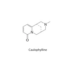 Caulophylline skeletal structure. Quinolizidine alkaloid compound schematic illustration. Simple diagram, chemical formula.