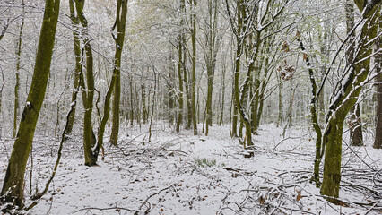 Winter weather in April. Poland.