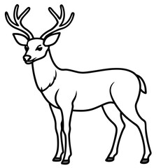 Deer vector illustration line art and white background