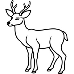 Deer vector illustration line art and white background