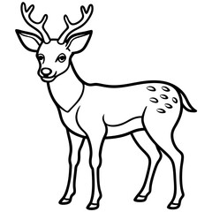 Deer vector illustration line art and white background