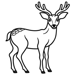 Deer vector illustration line art and white background