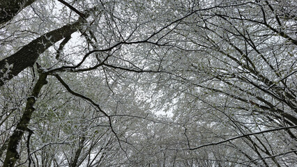 Winter weather in April. Poland.