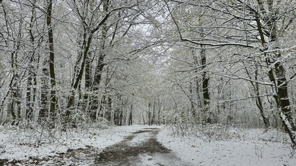 Winter weather in April. Poland.