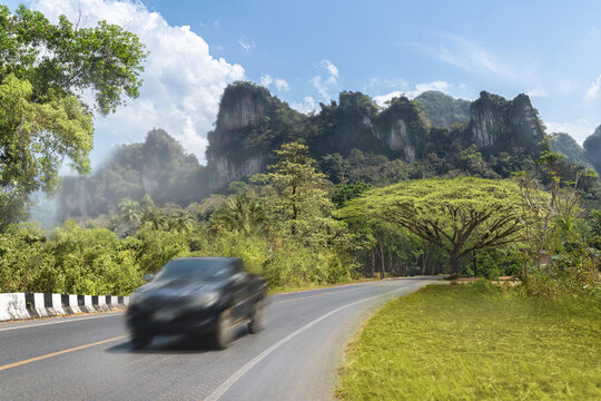Road to the entrance to Khao Sok Park in Thailand is a popular tourist destination. A beautiful panorama of the mountain and a sprawling large tree by the road, a pickup truck is driving along road