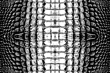 Symmetrical Crocodile Leather Texture Vector in Black and White