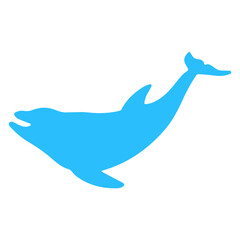 dolphin vector illustration