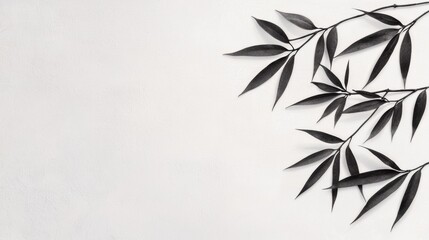 Naklejka premium A black and white image of a branch with leaves.