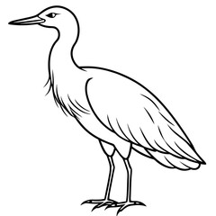 Minimal Cattle Egret Vector on White