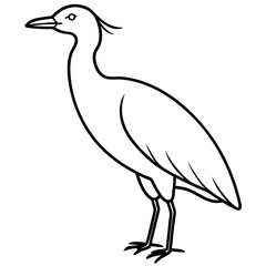 Minimal Cattle Egret Vector on White