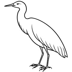 Minimal Cattle Egret Vector on White