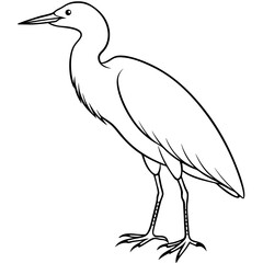 Minimal Cattle Egret Vector on White
