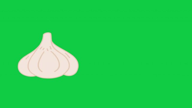 White garlic bulb illustration