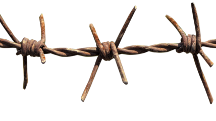 Rusty barbed wire creating dangerous barrier on transparent background