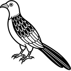 Minimal Asian Koel Vector on White