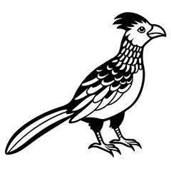 Fototapeta premium Minimal Asian Koel Vector on White