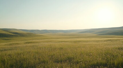A scenic landscape featuring rolling hills and vast fields of grass