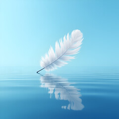 Naklejka premium white feather on blue background