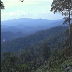 Lush Green Mountain Range Panoramic View Under Hazy Sky