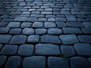 Fototapeta premium Cobblestone pavement texture with a single small plant sprouting between stones
