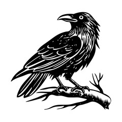 A glyph style illustration of a crow