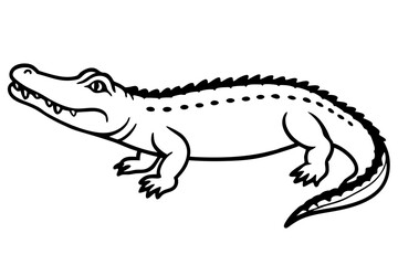 Alligator full body vector illustration line art and white background