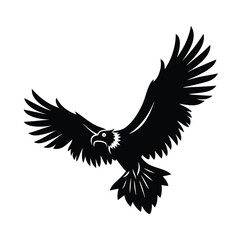 Obraz premium Vulture in Mid Flight Vector Detailed Wing Design