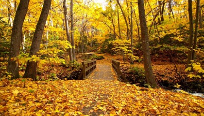 Obraz premium A vibrant autumn forest pathway covered in golden leaves, with a wooden bridge crossing a bubbling creek.