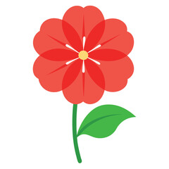 Create a geranium flowers on white background.