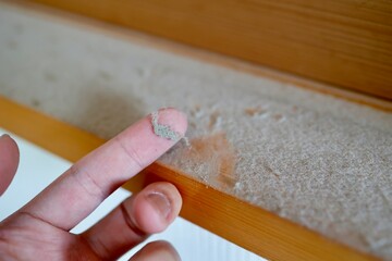 室内の窓枠に堆積したホコリ