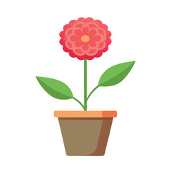 A create zinnia flower brance and with pot on white background 3.